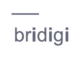 Bridigi logo